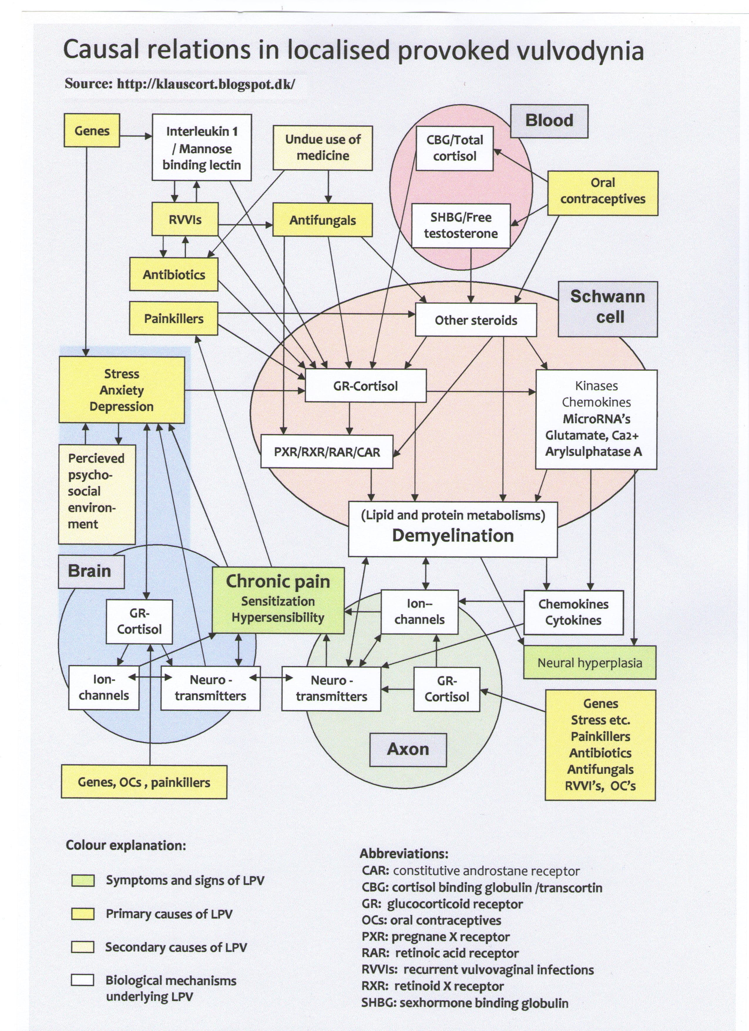 Vulvodynia